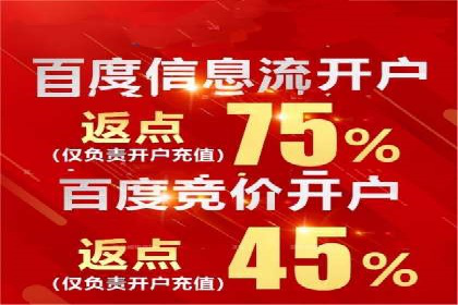 竞价排名在电商行业的实战案例
